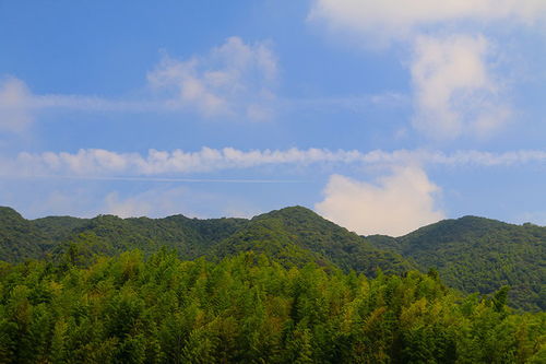 尤溪梅仙稻洋農家 深藏山間的世外桃源，偶遇猿猴的詩意棲居